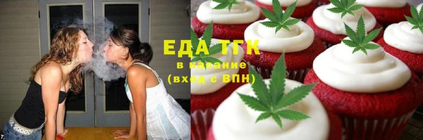 дмт Богородицк
