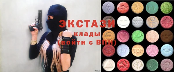 дмт Богородицк