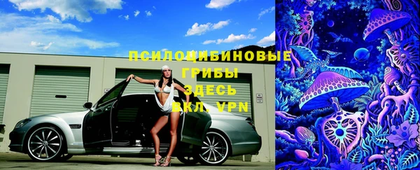 a pvp Богородск