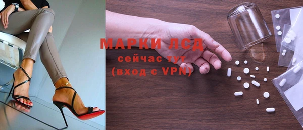 дмт Богородицк